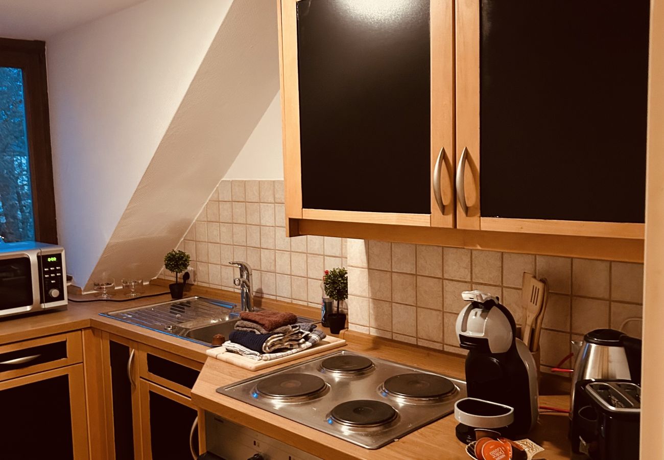 Apartment in Sarreguemines - Appartement Sarreguemines 2 chambres 1 lit double et 3 lits simples